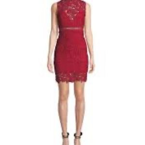 Bardot Red poppy flower Lace sheer cutouts bodycon lined sleeveless dress sz 6